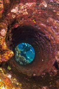 Divers at the end, Ginger Soul Chinchorro Mexico by Alejandro Topete 